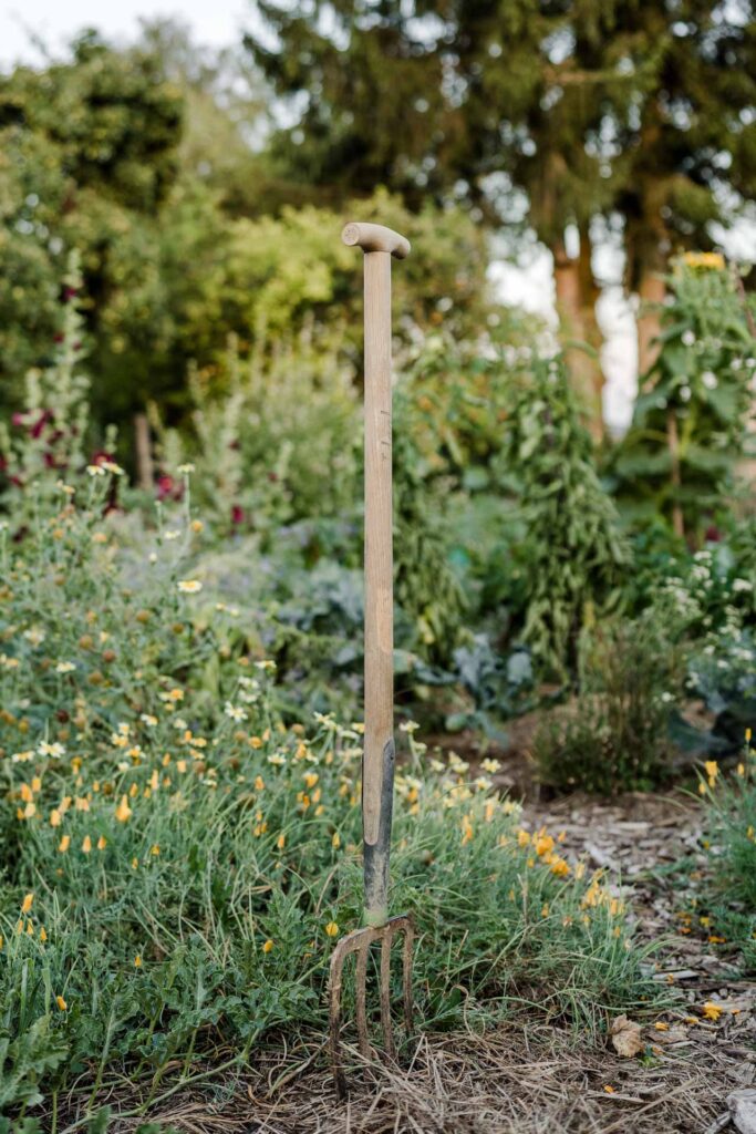 Nahaufnahme Blumen und Pflanzen im Permakulturgarten im Haidhof